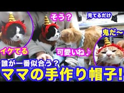 2025ｰ2−2節分 保護猫たちの「ほっこり猫ライブ」ハッチ＆マック＋黒猫めめ＋がんサバイバーママ Cat live Stream in Japan -Cat Life TV