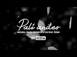 Nedura, Nuha, Redneck & Chi feat. Šonga - Pali Anđeo LYRIC VIDEO