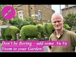 Don't be Boring - add some Va Va Voom to your Garden!