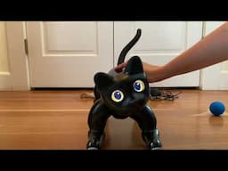 MarsCat Robotic Cat Unboxing and First Impressions