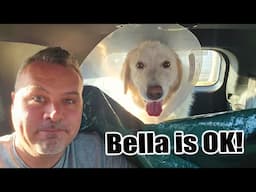 Update:Bella's Surgery & Fire + What I'm Growing this Year