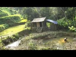 Time Lapse Video Build Bamboo House In The Forest, And Water To The Pond, From Start To Finish