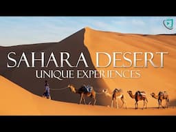 Sahara Desert. Sand dunes, Sunset & Sunrise, Camel ride and The magic of the sahara desert  by night