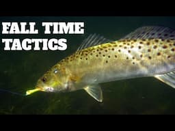 Best Tactics For Speckled Trout in Fall: Speckled Trout Fall Fishing