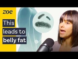 Is your gut microbiome preventing weight loss? | Dr. Suzanne Devkota and Prof. Tim Spector