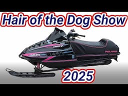 Hair of the Dog show, January 1st 2025