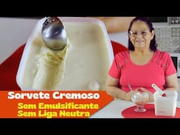 O SORVETE CREMOSO CASEIRO: SEM EMULSIFICANTE E SEM LIGA NEUTRA!🍨💖