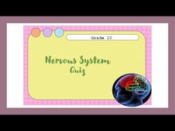 Nervous System ǀ Quiz