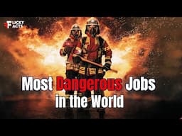 Most Dangerous Jobs in the World | Risky Professions in 2024