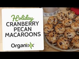 Holiday Cranberry Pecan Macaroons