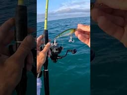 Big SNAPPAAaa On A Little Crankbait! #floridakeys  #fishing  #florida  #bigfish