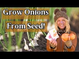 Planting Onions from Seed Made Easy: Short-Day vs. Intermediate vs. Long-Day Onions