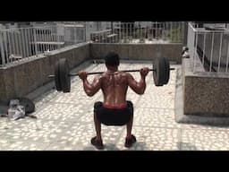 Multi Joint Workout Program  - 1