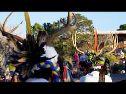 Minute Out In It: Cellicion Zuni Dancers - Deer Dance