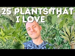 25 Plants That I Love!