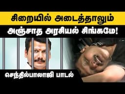 செந்தில்பாலாஜி ஆதரவாளர்கள் வெளியிட்ட பாடல்  | Senthil Balaji Song | Karur | DMK | #2024elections