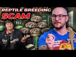 Theo Von is Right, Reptile Breeding is a Scam!