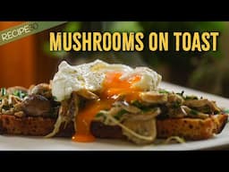 Creamy Mushrooms on Sourdough Toast with Poached Egg