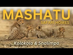 Explore Mashatu's two Safari Homes - Kolokolo & Shalimpo