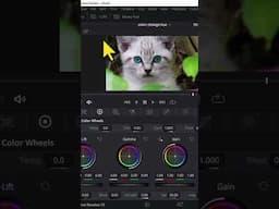 How to get video SCREENSHOT Davinci Resolve HINDI #davinciresolve #hinditutorial #howto #screenshot