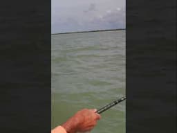 Tarpon Fishing in Florida!