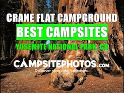 Crane Flat Campground Best Campsites - Yosemite National Park, CA