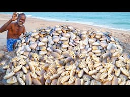 SEA COCKROACH HUNTING | கடல் கரப்பான்பூச்சி வேட்டை | Village Grandpa Catching Tasty Foods