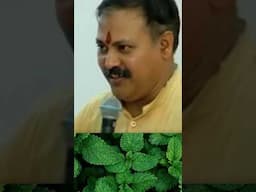 Rajiv Dixit on Mint Leaves (पुदीना पत्ता) for Skin Treatment | Natural Skincare | Skin Home Remedies