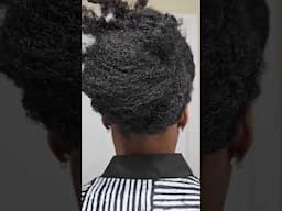 Simple Natural Hairstyle for 4C Hair