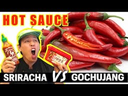 HOT Chilli Sauce | Sriracha VS Gochujang (고추장)