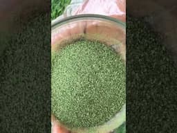 How to make neem powder #shortsafrica #youtubeshorts