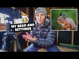 A magical morning with red squirrels + my basic wildlife photography gear and settings.