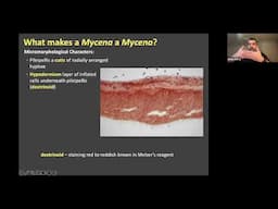 Mycena and allied genera - how to know the Mycenoid fungi