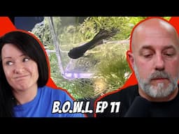 Do Fish Stores Even Care Anymore?  GIVEAWAY! B.O.W.L. Ep. 11