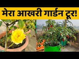 मेरा आखरी टेरेस गार्डन टूर! 🌱 My Last Terrace Garden Tour | Home Gardening