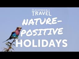 Responsible Travel: Nature-Positive Holidays