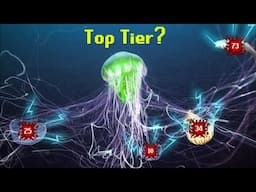 The Jellyfish Tier List