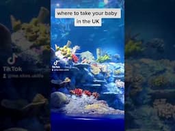 Where To Take Your Baby In The UK - At Bristol Aquarium, UK