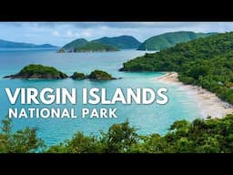 Virgin Islands National Park Ultimate Guide: Beaches, Ruins & Hidden Gems