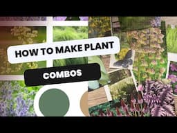 🌱🌸 How to Combine Plants - Making Plant Combinations 🌱🌸