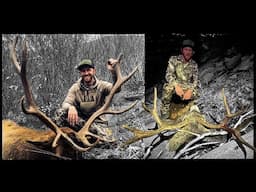 BACKCOUNTRY ELK AND MULE DEER HUNT | "FROM BUGGIES TO BUGLES" | S8E11 | Limitless Outdoors