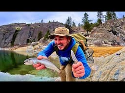 SOLO Trout Fishing in Remote Wilderness!!! (Catch & Cook)