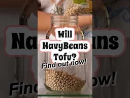 You have a life, I get it. Short version pour vous! #navybeans #willittofu