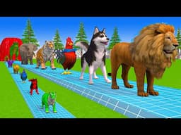 Paint & Animals Cow,Gorilla,Elephant,Giraffe,Tiger,Lion, Fountain Crossing Transformation Cartoon