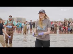 January Sea Turtle Release