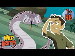 Amazing Snake Facts | National Serpent Day (Feb 1st) | Wild Kratts