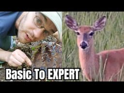 Deer Tracking in 4 Levels of Difficulty (follow them anywhere)