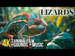 4K HDR Amazing Lizards | Close-Up Shots of Exotic Reptiles with Uplifting Music for a Mood Boost