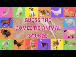 Guess The Domestic Animal Sounds For Kids | 4K