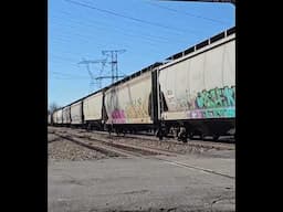 Empty grain train westbound for the mid-west. Dash-9 DPU. Smurf graffiti